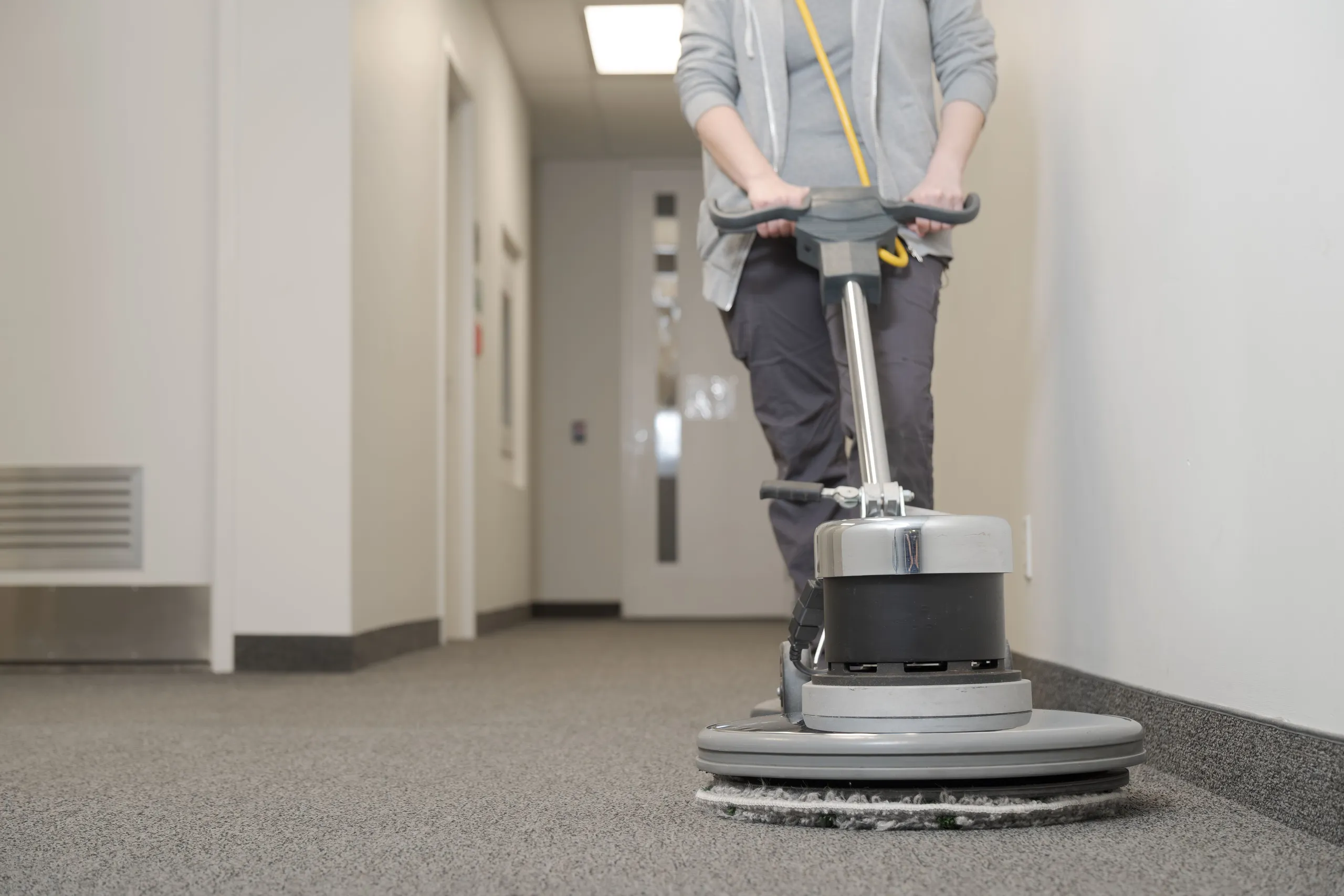 Professional carpet cleaning service